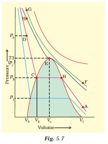 Isotherms Of Carbon Dioxide Gas Are Shown In Fig 5 7 Mark A Path For Changing Gas Into Liquid Such That Only One Phase Sarthaks Econnect Largest Online Education Munity