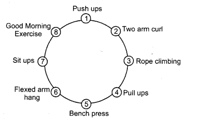 Circuit training programme for upper body strength