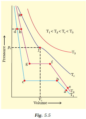 Isotherms Of Carbon Dioxide At Various Temperatures Are Represented In Fig 5 5 Answer The Following Questions Based On This Figure Sarthaks Econnect Largest Online Education Munity