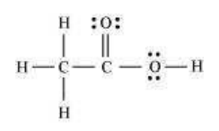 ch3nooh lewis structure