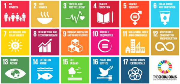 Global goals for sustainable development