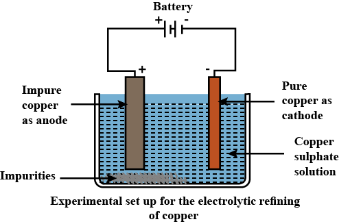 High purity copper metal (nearly 99.99%) is obtained by electrolytic reduction.