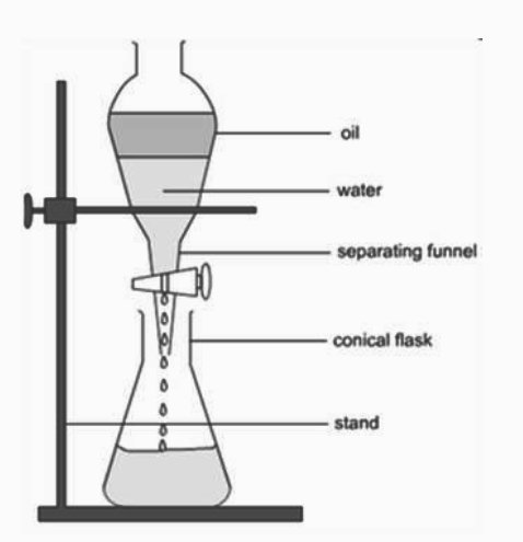 Show diagrammatically, how will you separate two immiscible liquids ...