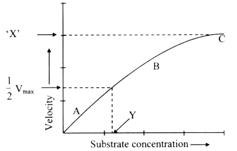 Following graph represents the effect of substrate concentration on ...