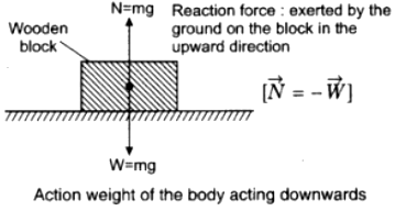 Explain Newton S Third Law Of Motion With The Help Of Two Examples Sarthaks Econnect Largest Online Education Community