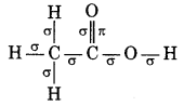 Acetic Acid