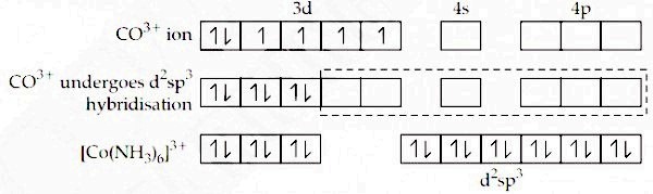 Explain The Geometry Of Co Nh3 6 3 On The Basis Of Hybridisation Sarthaks Econnect Largest Online Education Community