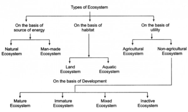 explain-the-types-of-ecosystem-sarthaks-econnect-largest-online-education-community
