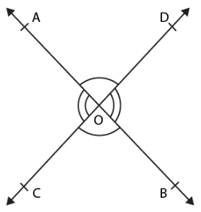 opposite vertically lines intersect equal