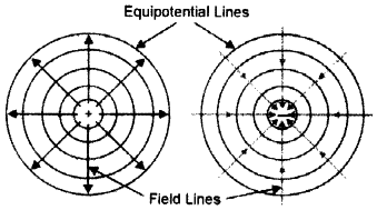 the equipotential surfaces