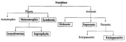 Prepare and complete the flowchart according to type of nutrition ...