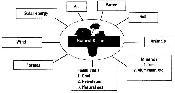 graphical representation of natural resources