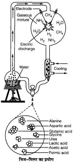 miller experiment in hindi