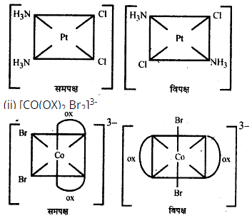 ज्यामितीय समावयव