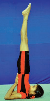 Sarvangasana