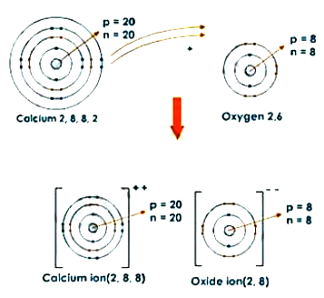 calcium ion lewis dot structure