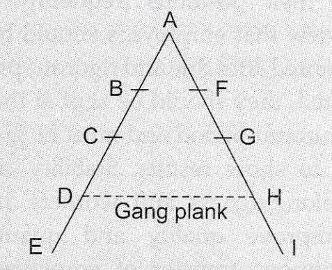 Gang Plank Principle of Scalar Chain by Fayol Business Studies Class 12  CBSE 