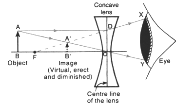 Show by drawing a ray-diagram that the image of an object formed by a concave  lens is virtual, erect and diminished. - Sarthaks eConnect | Largest Online  Education Community