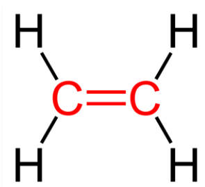 Explain in detail the structure of ethylene. - Sarthaks eConnect ...