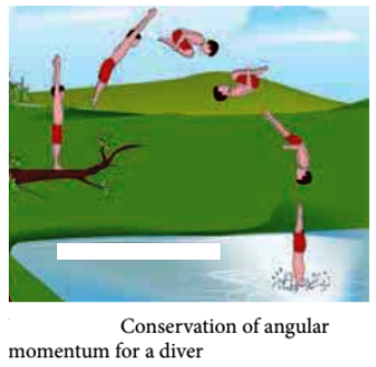 momentum picture examples