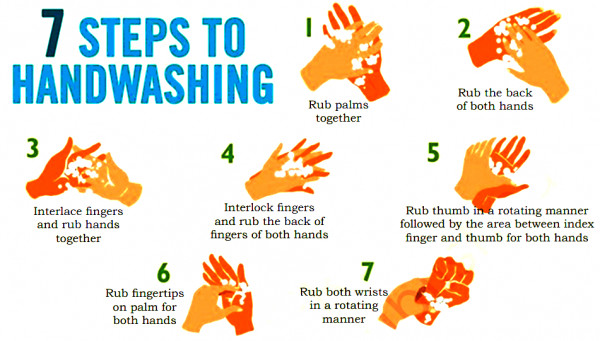 Essential Steps of Hand Washing