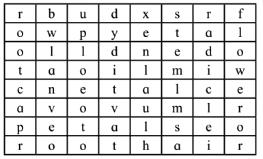 Describe the functions of various parts of a plant.