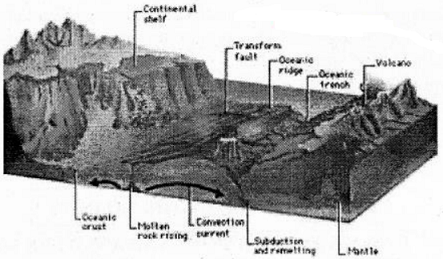 Explain The Topography Of The Ocean Floor With A Diagram