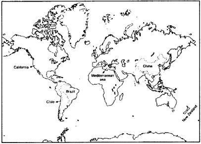 Locate the following on the world map. 1) China 2) Brazil 3) New ...