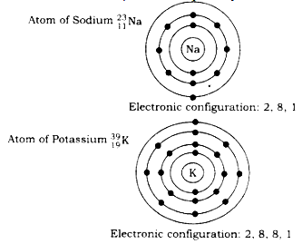bohr diagram for potassium