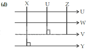 In A Plane Line X Is Perpendicular To Line Y And Parallel To Line Z Line U Is Perpendicular To Both Lines V And W Sarthaks Econnect Largest Online Education Community