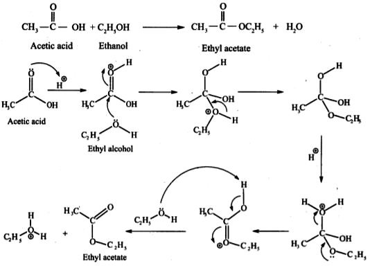 esterification mechanism