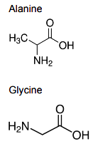 the structure of all the possible dipeptides