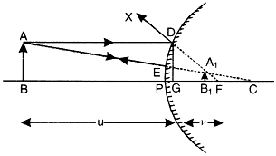 Convex Mirror