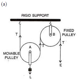 The diagram below shows a pulley arrangement. (a) In the diagram, mark ...