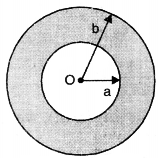 the center of the shell