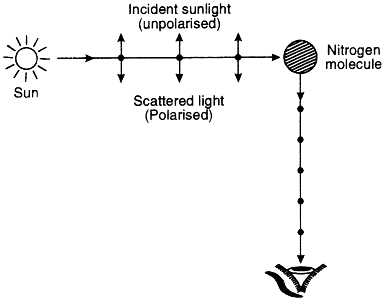 Polarisation by scattering