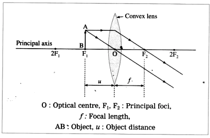 Draw neat and well labelled ray diagrams for image formation by convex ...