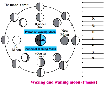 Figure shows positions of the moon as seen from the space and as seen ...