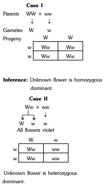 How does a test-cross help in identifying the genotype of the